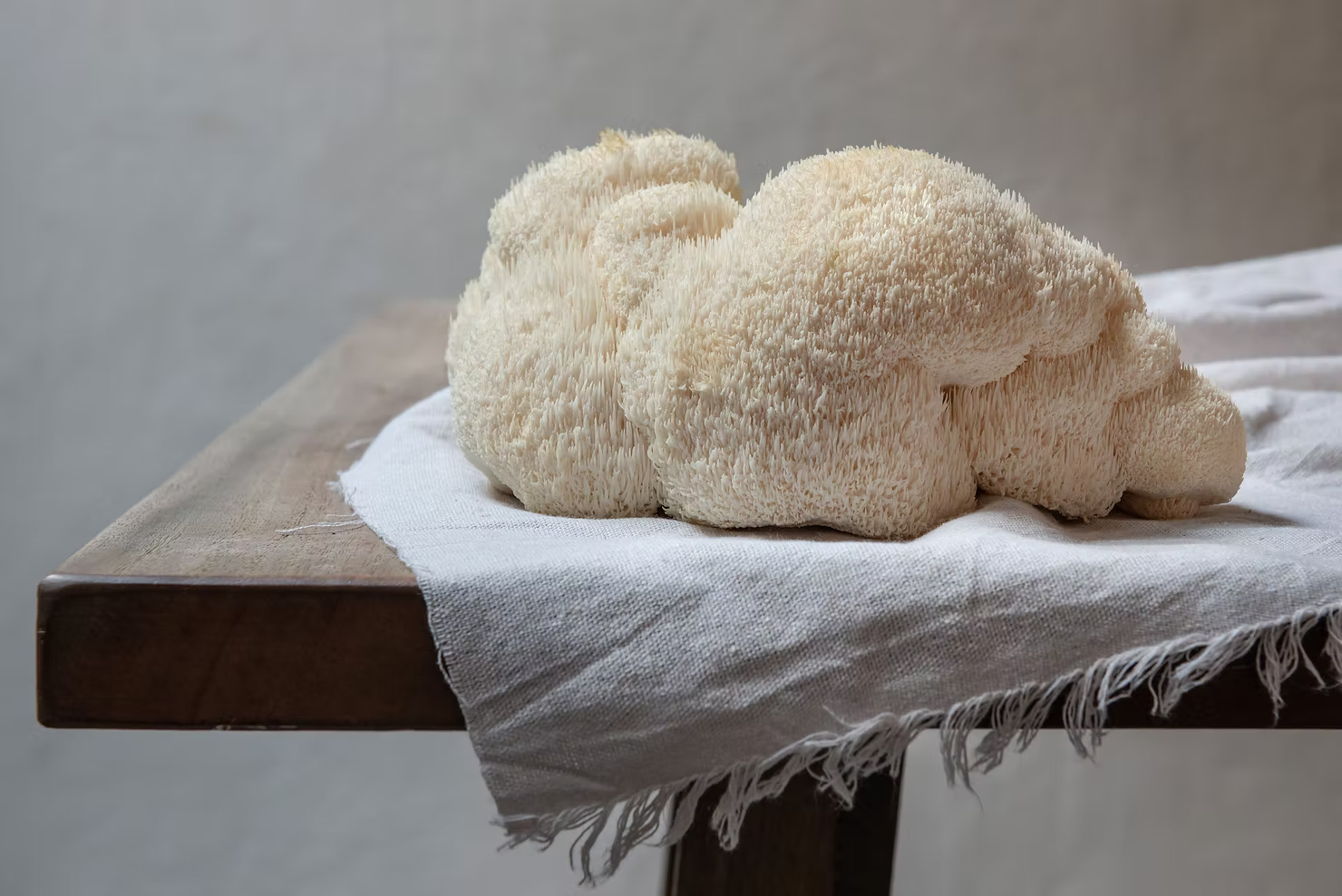 The Mighty Lion's Mane Mushroom: Unveiling the Powerhouse of Mushroom Health Benefits