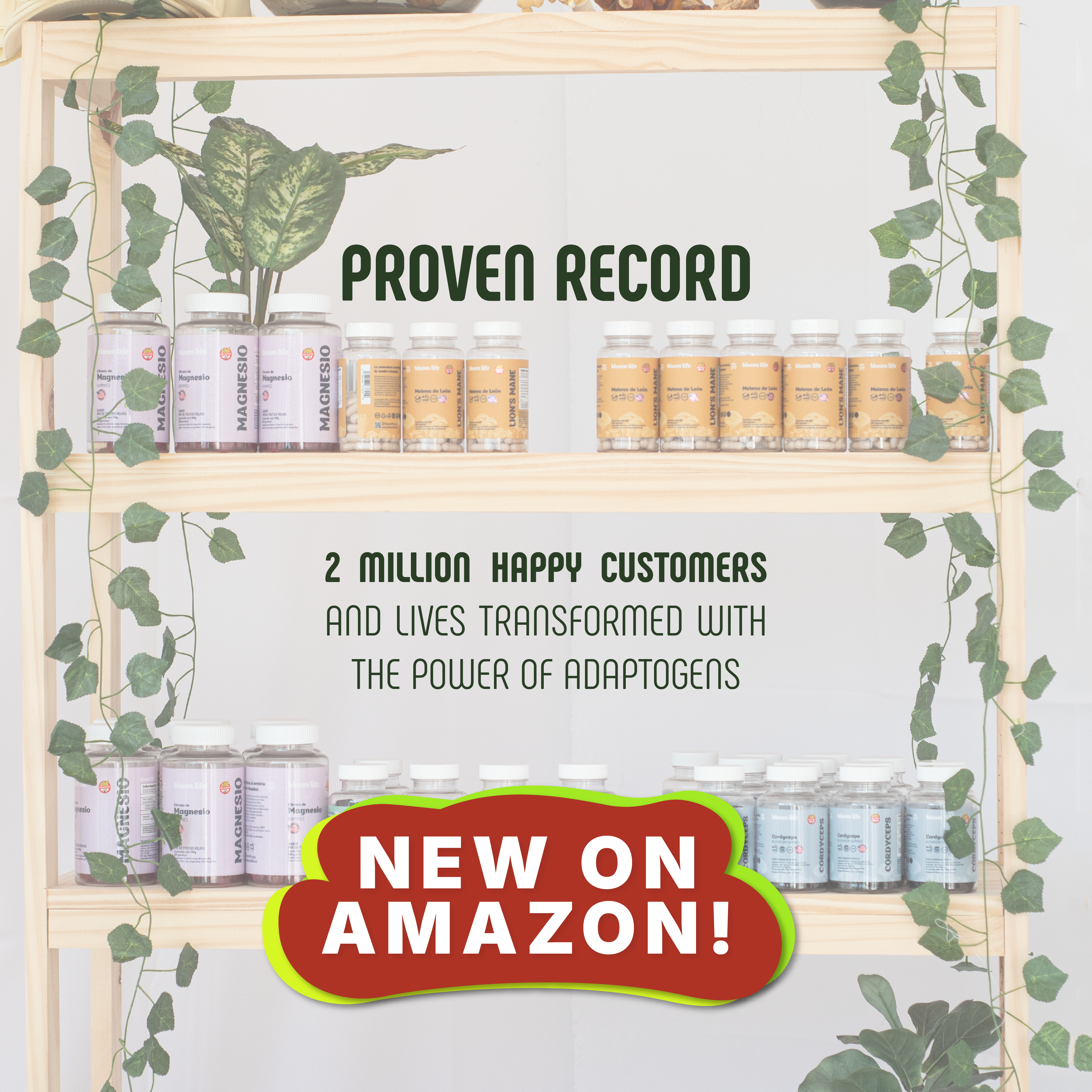 Ashwagandha | Capsules