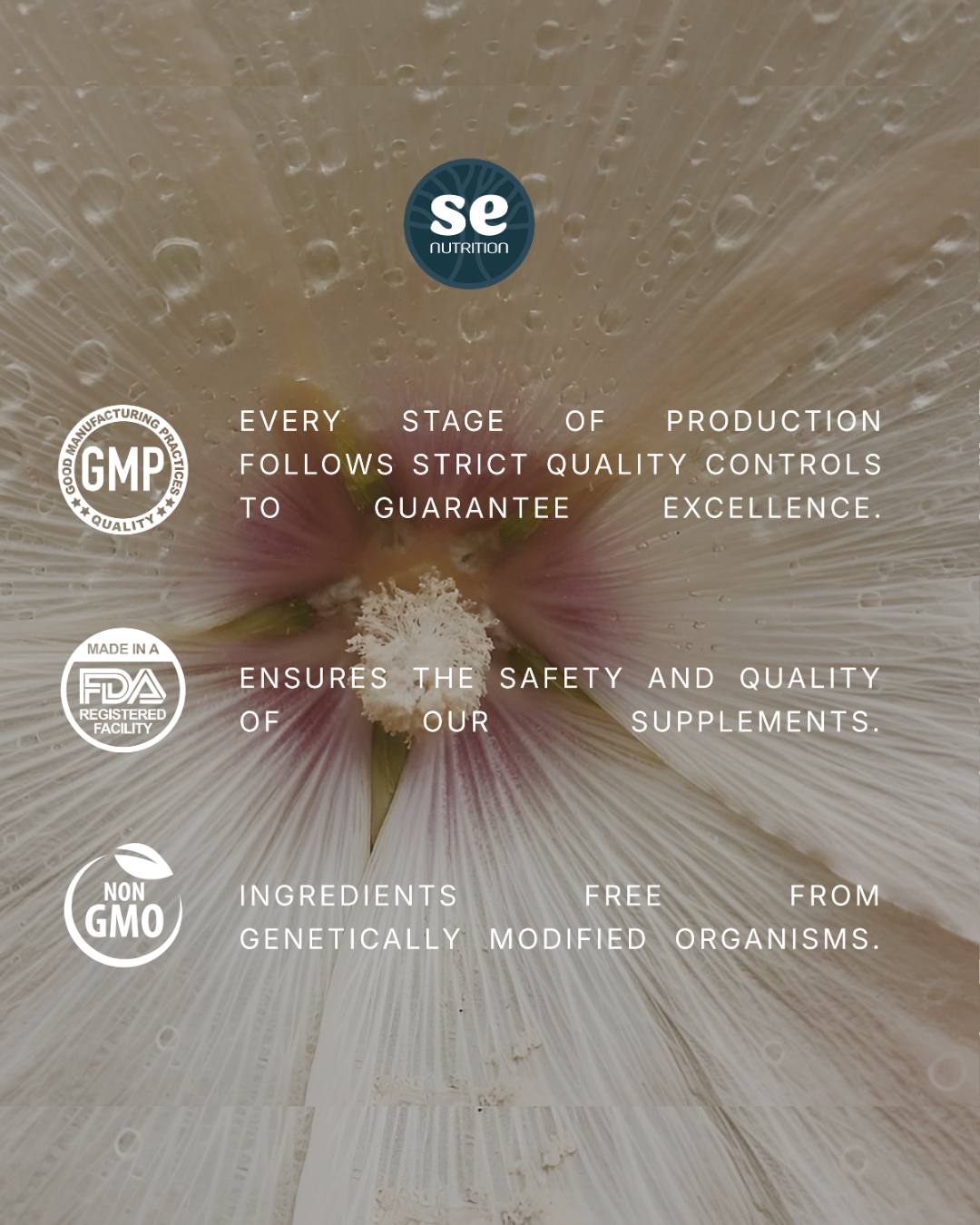 Ashwagandha | Capsules