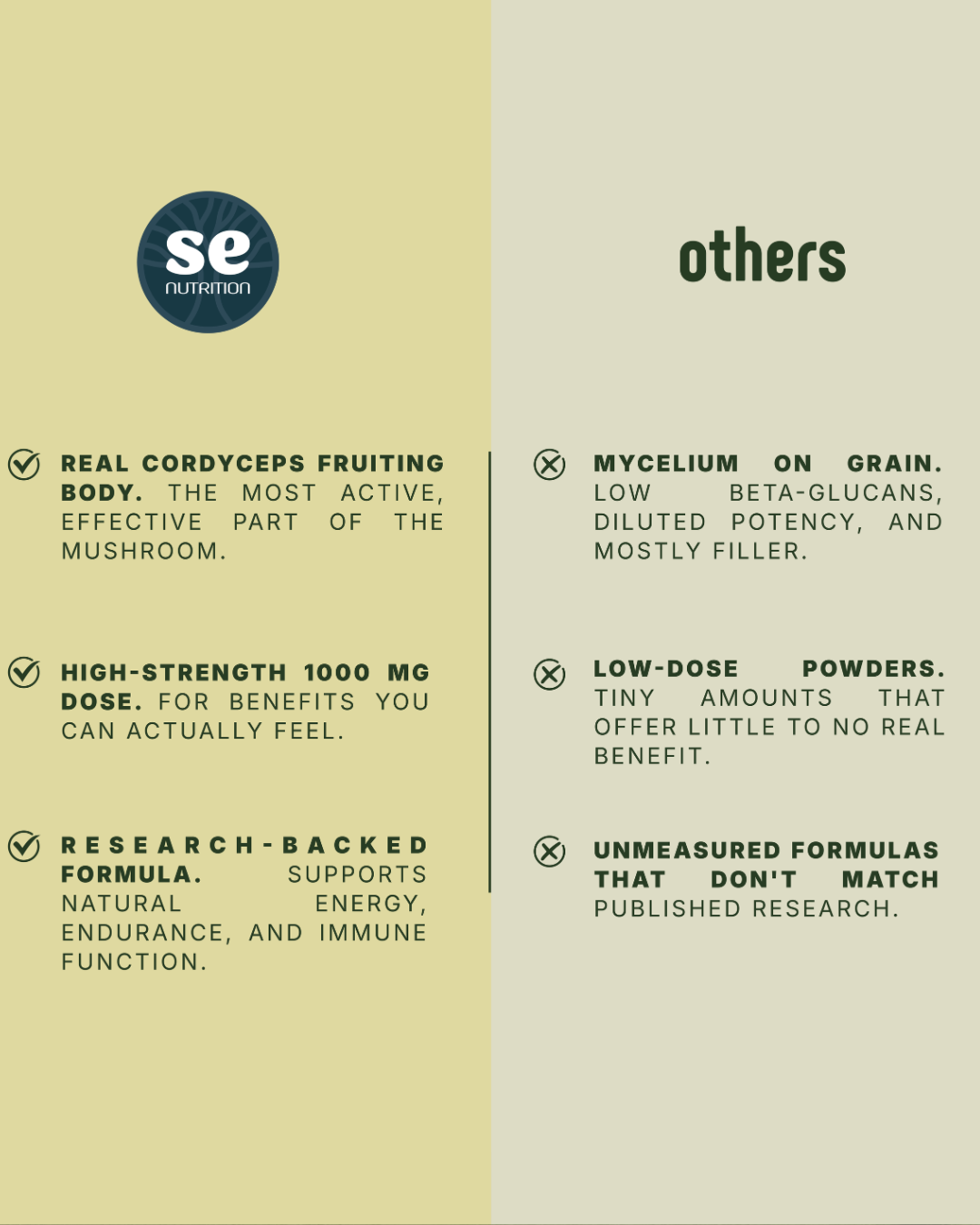 Creatine + Cordyceps | Powder