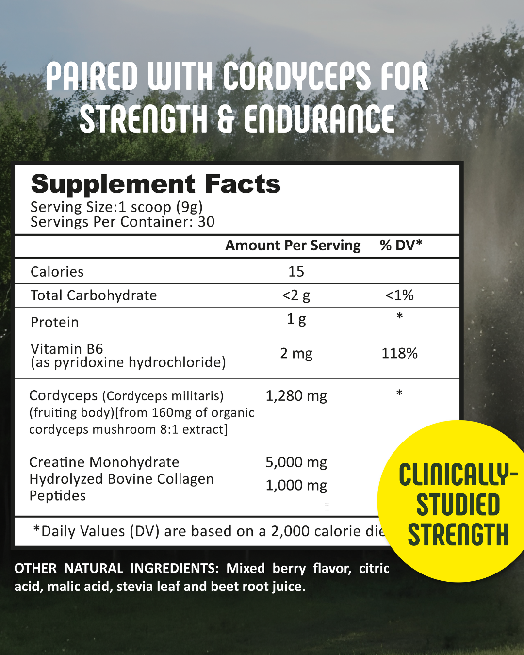 Creatine + Cordyceps | Powder