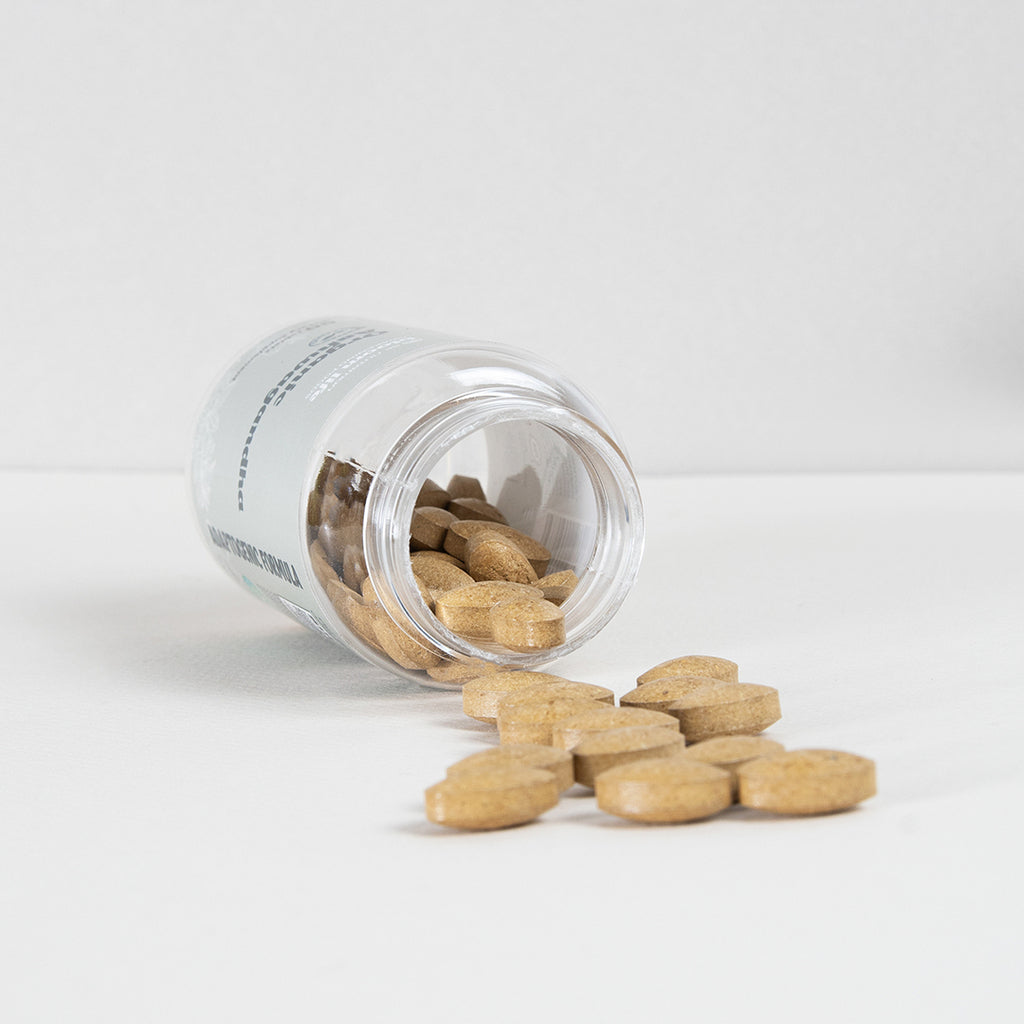 Ashwagandha | Capsules