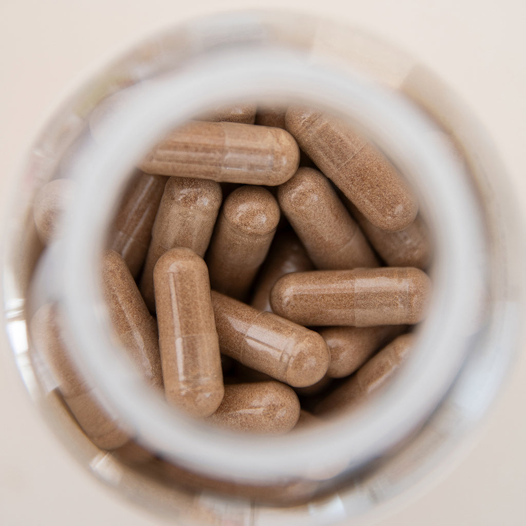 Lion’s Mane | Capsules