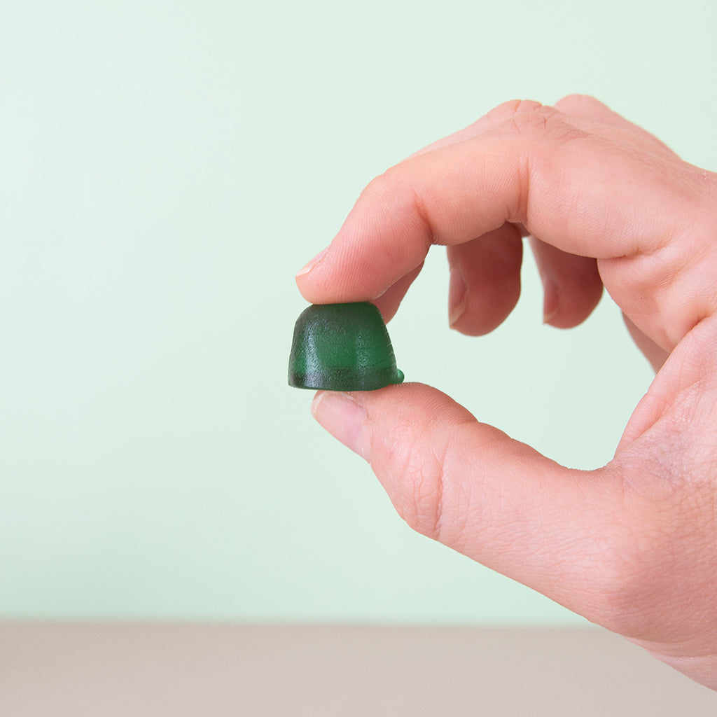 Reishi | Gummies
